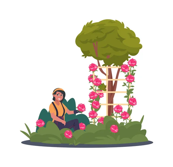 Femme dans le jardin avec des fleurs. Paysan personnage féminin coloré avec des roses roses en plein air, hobby jardinier agricole, prendre soin des plantes dessin animé vectoriel plat illustration isolée — Image vectorielle