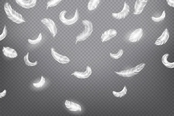 Falling feather background. Realistic 3d fluffy bird plumage for advertising. Style smooth banner, decorative frame, poster or flyer, vector isolated hen, goose or swan quill — Διανυσματικό Αρχείο