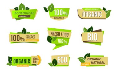 Ekoloji ikonu. Doğal ve organik ürünler için renkli etiketler. Çiçek elementleri ve harfleri olan etiketler. İzole eko ya da yaşam sinyalleri. Yapraklı çıkartmalar. Taze besin, vektör seti