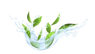 Suda çay yaprakları. Düşen sıvının şeffaf damlası olan gerçekçi bir bitki. İçki reklamı için soğuk içecek modeli. Çiçek elementleriyle su akışı ve damlaları, vektör illüstrasyonu