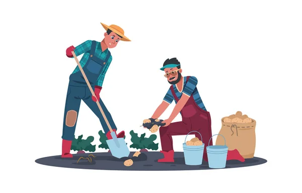 農業労働。現場で働く漫画農家。シャベルで地面を掘り、ジャガイモを植えたり、野菜を収穫するかわいい男性。人々は天然物、ベクトルイラストを育てる — ストックベクタ