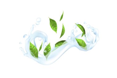 Su ve yaprak. Sıvı akışında gerçekçi yeşil bitkiler. 3D şeffaf su sıçraması. Çiçekli elementlerle iç. Çay hazırlama süreci. İçecek reklamı için vektör şablonu