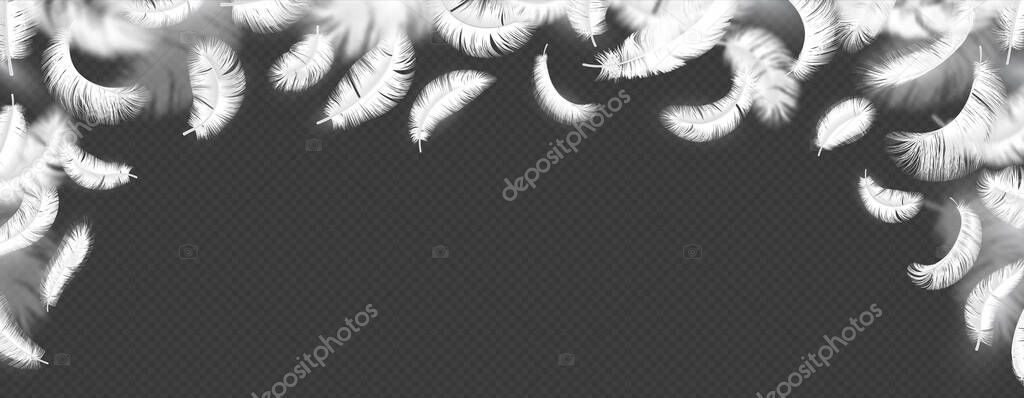 Falling feathers background. Realistic isolated fluffy bird white plumage, blurred swan or angel 3d feather. Vector flying quill decorative frame, style border, horizontal poster or flyer