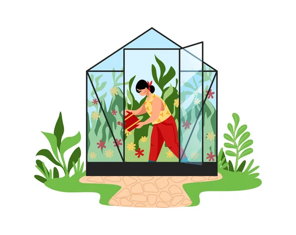 女は庭で働く。温室内の漫画の女性散水植物。農業労働者は家の中で天然の野菜を育てる。かわいい庭師は花の世話をします。ベクターイラスト — ストックベクタ