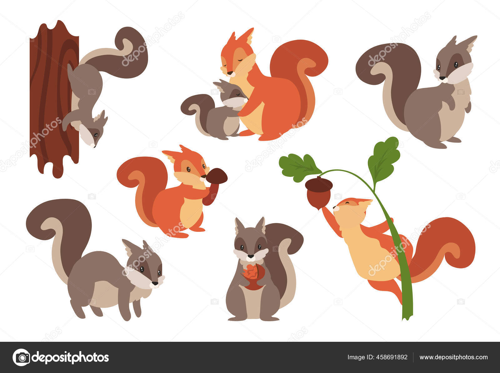 Squirrel cartoon Vector Art Stock Images | Depositphotos