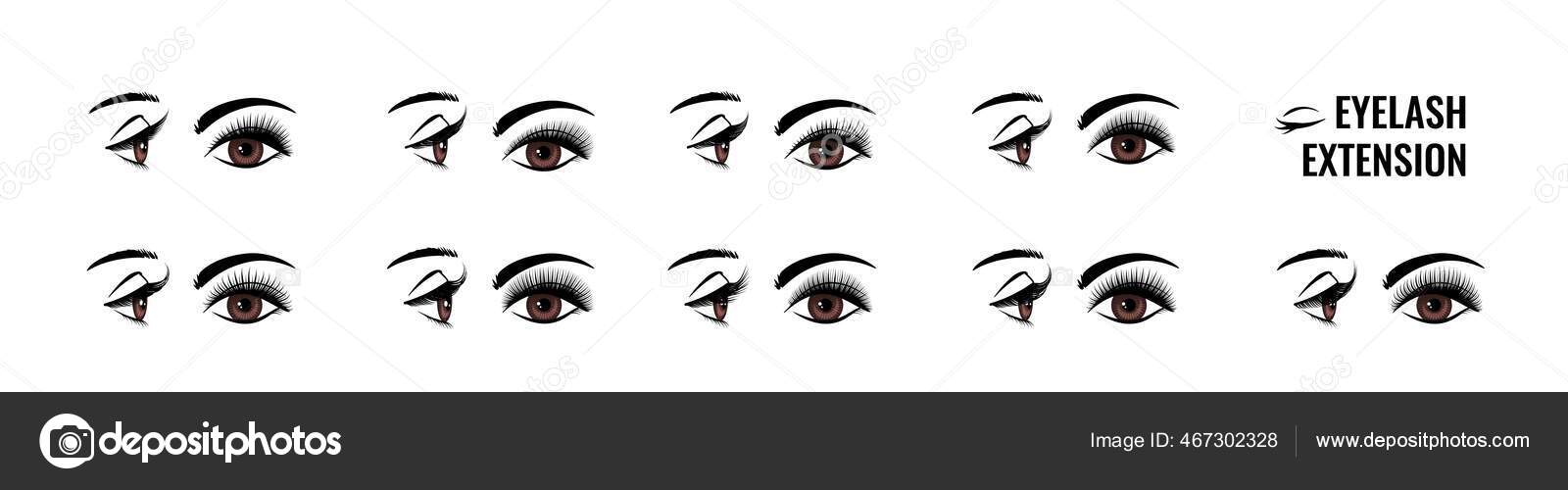 Eyelash extension. False lash shape for doll look. Eye style infographic. Makeup tutorial. Lengthening mascara effect. Salon beauty procedure. Vector front and side view of female face Stock Vector Image by ©SpicyTruffel # Eyelash extension. False lash shape for doll look. Eye style infographic. Makeup tutorial. Lengthening mascara effect. Salon beauty procedure. Vector front and side view of female face Stock Vector Image by ©SpicyTruffel #