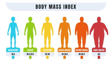 Man BMI. Body mass index infographics for male with normal weight and obesity. Fat and skinny silhouettes. Diagram for medical diagnostic. Vector underweight or adiposity diagnosis clipart