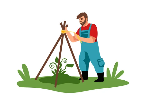 Sadzenie. Człowiek z kreskówek pracuje w ogrodzie. Robotnik rolniczy buduje drewnianą konstrukcję dla ochrony roślin. Męski charakter zajmuje się sadzonkami. Ogrodnik-wektor hoduje krzewy — Wektor stockowy