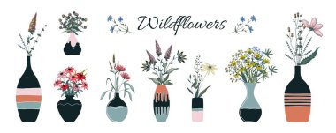 Çiçek buketi. Vazolardaki çiçek bitkileri. Tebrik kartları için el çizimi dekoratif çiçek malzemeleri. Yaban çiçekleriyle iç dekorasyon. Çiçek açan şifalı bitkiler. Vektör botanik kümesi