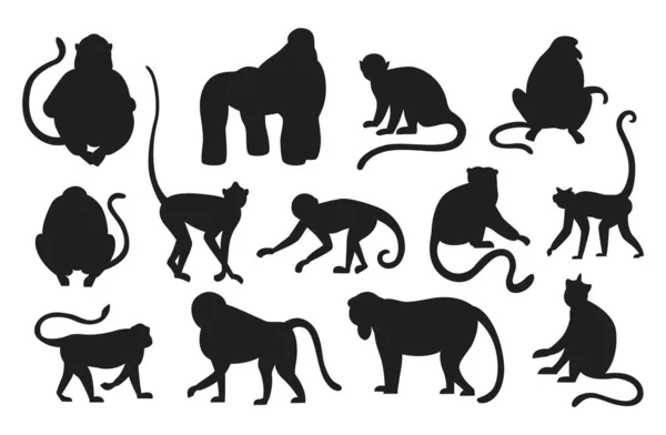 Apen silhouet. Zwarte apen ophangen en springen. Verschillende soorten primaten. Exotische dieren ingesteld. Exotische regenwoud fauna. Contourzoogdieren met staarten. Vectorsjablonen voor dierentuinlogo — Stockvector