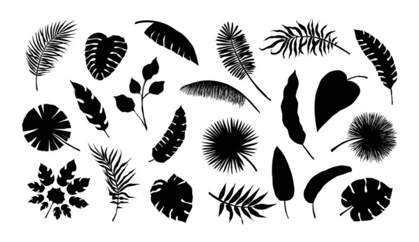 이국적 인 잎 실루엣. 열 대 우림 과 바나나 나무가지. 흑색 과 흰색의 야자 잎 이 있다. 여름 나뭇잎. 고립된 밀림 식물들. 벡터 장식의 자연 요소 세트 — 스톡 벡터