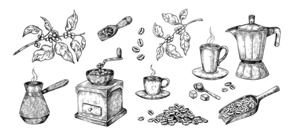 Hand drawn coffee process. Sketch of Arabica beans. Manual grinder and wooden scoops, geyser drink maker or metal cezve. Isolated plant branches. Cups for morning beverage, vector set — Archivo Imágenes Vectoriales