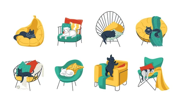 Huisdieren in stoelen. Cartoon grappige huisdieren in gezellige fauteuils. Katten en honden slapen en rusten op de bank. Kittens spelen op krukjes. Vector lichte meubelset met kussens en dekens — Stockvector