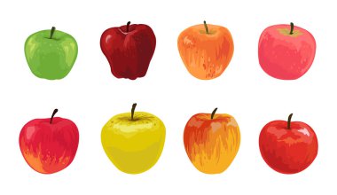 Çizgi film elmaları. Yaz kırmızı yeşil ve sarı meyve bahçesinden olgun meyveler. Sağlıklı organik sulu ürünler beyaz üzerine toplanıyor. Vejetaryen vitamini. Vektör doğal gıda seti