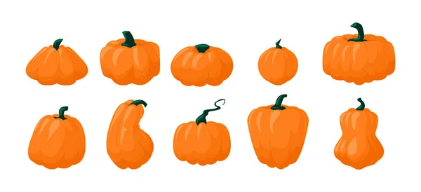 Cartoon-Kürbis. Herbstliches Kürbisgemüse für Halloween und Thanksgiving. Einfache orangefarbene Pflanze flaches Symbol. Kochen natürliche Zutat. Vegetarisches Lebensmittel. Vector-Squash-Set — Stockvektor