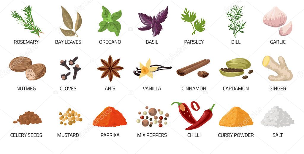 Cartoon spices. Food and dishes seasoning. Dry condiment. Chilli pepper and anise. Ginger root. Cardamom or curry powder. Oregano and basil. Vector salt or spicy cooking ingredient set