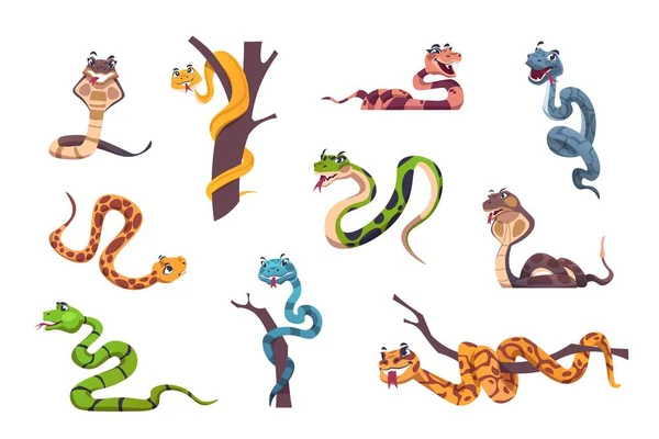 Slangen karakter. Leuke dier mascotte met grappige gezicht emoties voor kinderen illustratie. Wilde reptielen van tropische aard. Gestreepte of gevlekte sluipende roofdieren. Vector exotische slangen set — Stockvector