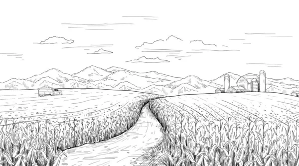 Ручной рисованный пейзаж. Набросок кукурузной фермы с сельским домом и силосами. Карандашный рисунок панорамы сельскохозяйственной территории. Грузовик с кукурузой. Векторная сцена летней и осенней гравировки — стоковый вектор