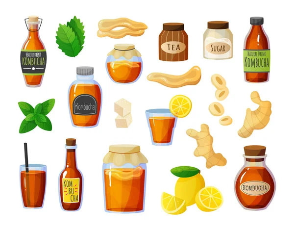 Ensemble Kombucha. Dessin animé thé champignons boisson. Diverses bouteilles de gingembre et de sucre. Feuilles de menthe et morceaux de citron dans des pots en verre. Vector cool collection de boissons gazeuses végétaliennes d'été — Image vectorielle