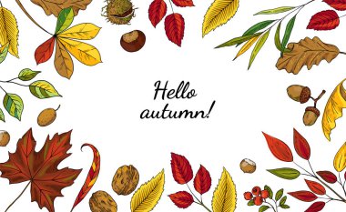 Sonbahar yaprakları çerçevesi. Kırmızı ve turuncu yapraklı el yapımı botanik sınırları. Sarı akçaağaç ve meşe dalları. Kestane veya meşe palamudu. Mevsimlik afiş. Vektör doğal arkaplan