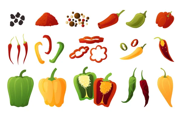 Du poivron. Caricature de légumes biologiques. jalapeno vert et paprika doux orange. Cultures agricoles. Du piment rouge et du piment chaud. Assaisonnements isolés collection. Ensemble d'ingrédients culinaires vectoriels — Image vectorielle