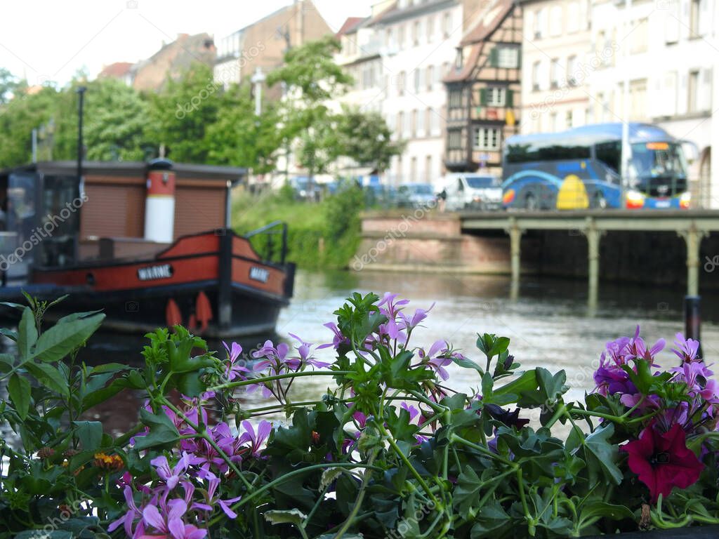 Blurred house boat on a river, stream, canal with blooming pink, mauve flowers in the foreground and houses, trees, bridge, traffic in the background in a town, city