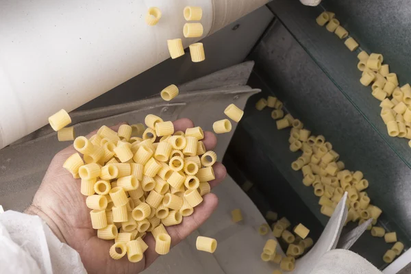 Italian pasta factory processing line — Stock Photo, Image