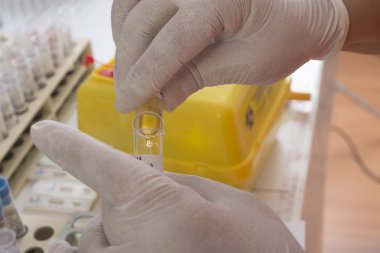 test laboratuvarı