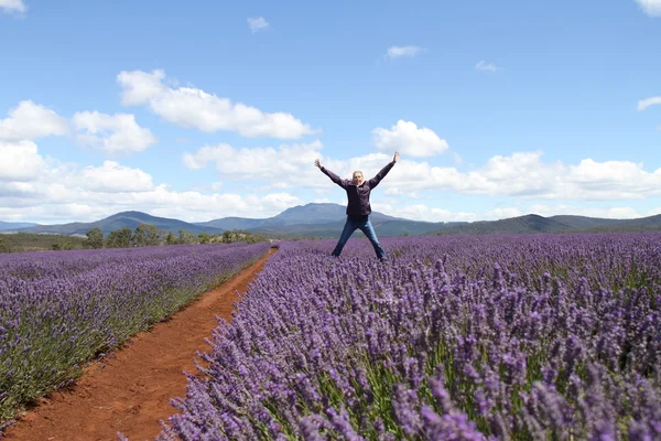 Star jump in the lavender — Stock Photo, Image