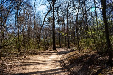 Bir patika takip ederek Macaristan 'da ilkbahar yürüyüşü