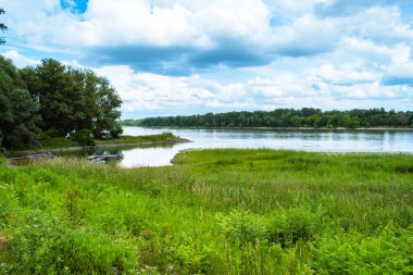 Yazın Macaristan 'ın Mohacs kenti yakınlarındaki kumlu Tuna Nehri kıyısında duran bir adamın kahverengi ayakkabıları.