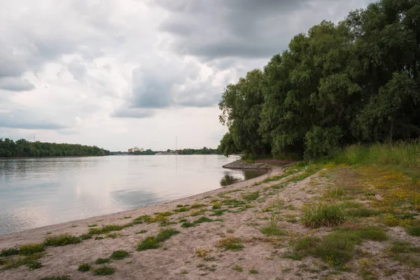 Braune Schuhe Eines Mannes Der Sommer Sandigen Ufer Der Donau — Stockfoto