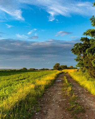 Güneşin batışında Macar kırsalında bulutlu gökyüzü serinletici bir yaz yağmurundan sonra