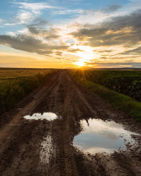 Schotterpiste Der Ungarischen Landschaft Bei Sonnenuntergang Mit Bewölktem Himmel Nach — Stockfoto