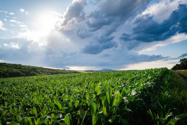 Macar kırsallarının üzerinde karanlık ve bulutlu gökyüzü, yaz fırtınası