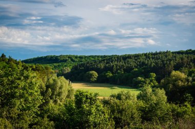 Macaristan kırsalındaki tarım arazilerinin yaz mevsimi manzarası, Avrupa