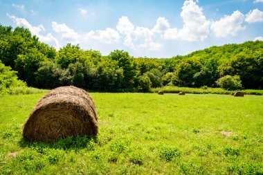 Macaristan kırsalındaki tarım arazilerinin yaz mevsimi manzarası, Avrupa