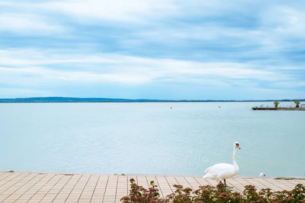 Keszthely Ungheria Luglio 2020 Bacino Keszthely Lago Balaton Vista Panoramica — Foto Stock