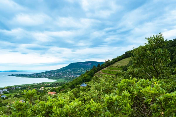 BADACSONYTOMAJ, HUNGARY - 3 Temmuz 2020: Kuzey kıyı şeridi ve Badacsony, Macaristan 'dan Balaton Gölü manzarası