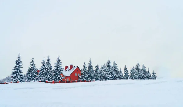 Czerwony dom wiejski wśród zielonych świerków w śniegu, w zimie na zaśnieżonej górze — Zdjęcie stockowe