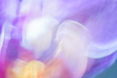 Çok renkli, hafif bulanık arkaplan, parlak konsept, hareket, bokeh, fantezi bulanıklığı