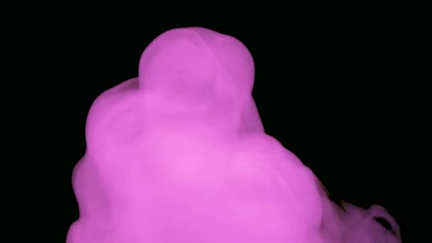 Fumée Rose Sur Fond Noir Ralenti Intro Outro Brouillard Mystique — Video