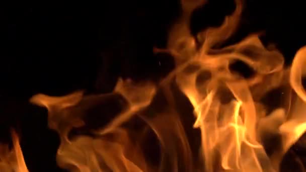 Вогняне Полум Чорному Тлі Ізольовано Спалювання Газу Або Бензину Горить — стокове відео