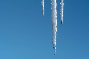 Buz saçakları ilkbaharda mavi gökyüzüne karşı erir ve damlar. Meteoroloji, küresel ısınma ve eriyen kar ve buz. Su gökyüzüne damlıyor.
