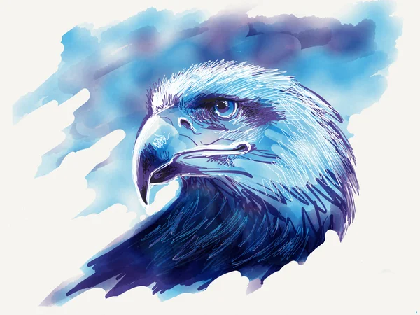 Ilustração da águia — Fotografia de Stock