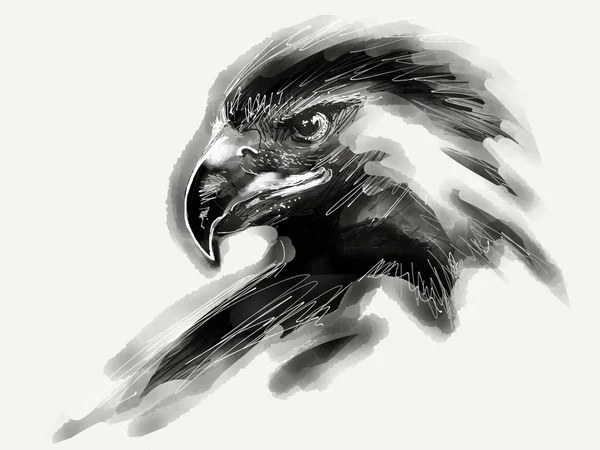 Adler-Illustration Stockbild