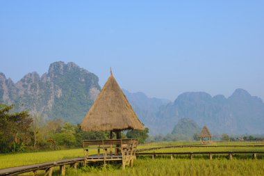 Pirinç alan ve saman kulübe