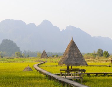 Pirinç alan ve yazlık