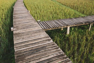 Ahşap bir geçit