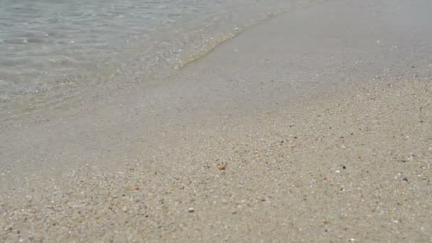 해변의 파도 — 비디오